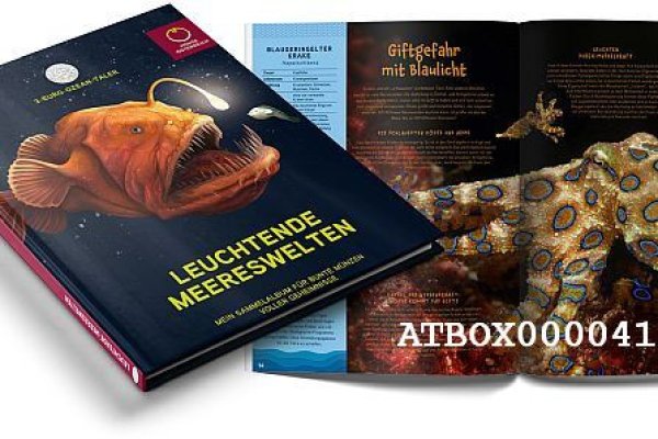 Как заказать на кракене