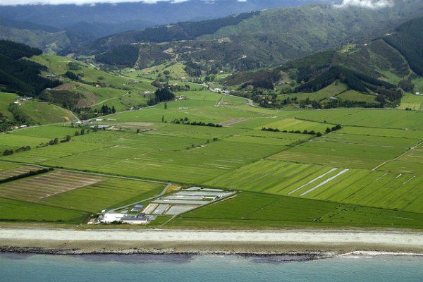 Как сделать заказ на кракен